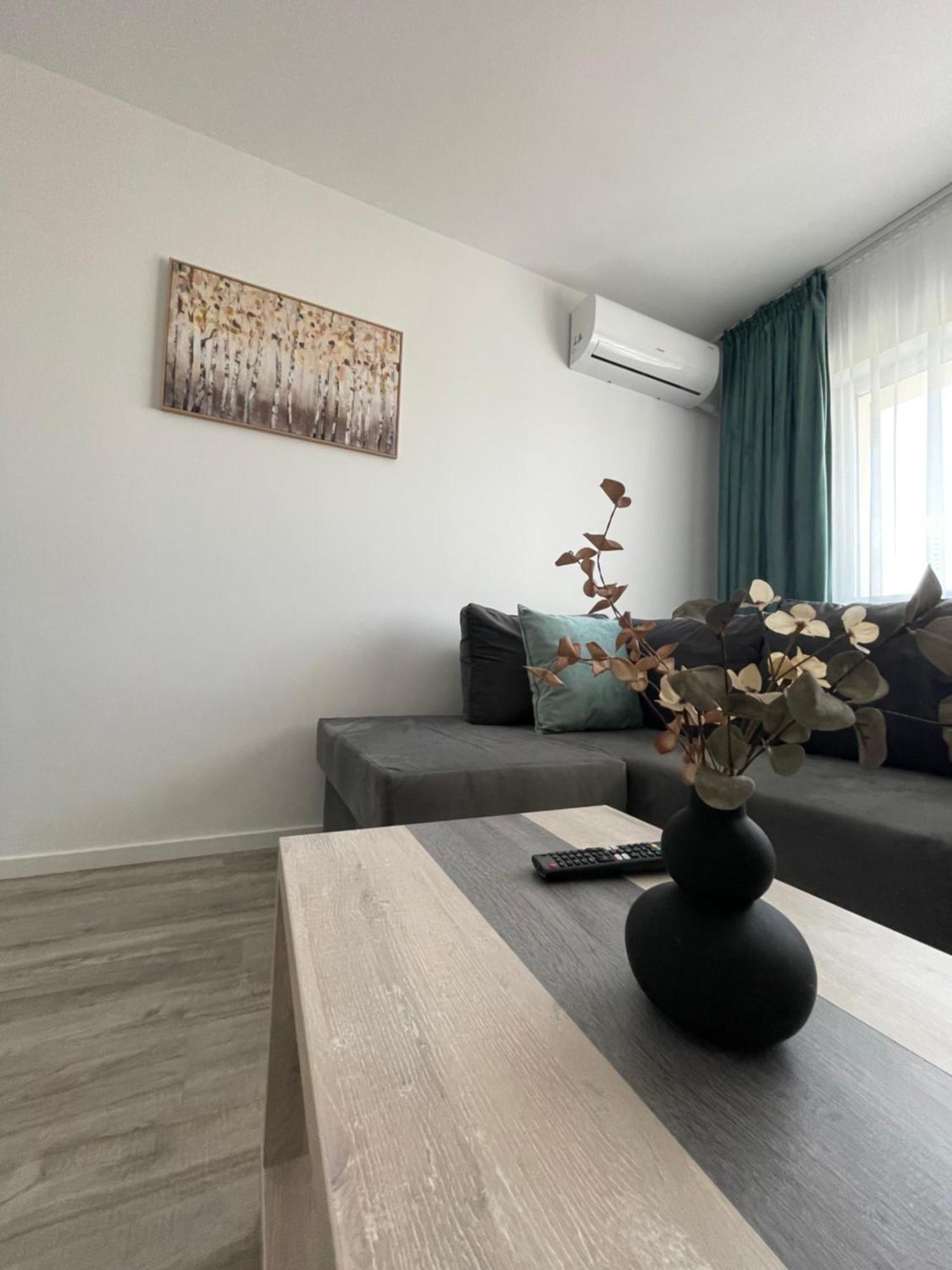 Comfort & Luxury Apartaments Pnmresidence Тимишоара Екстериор снимка