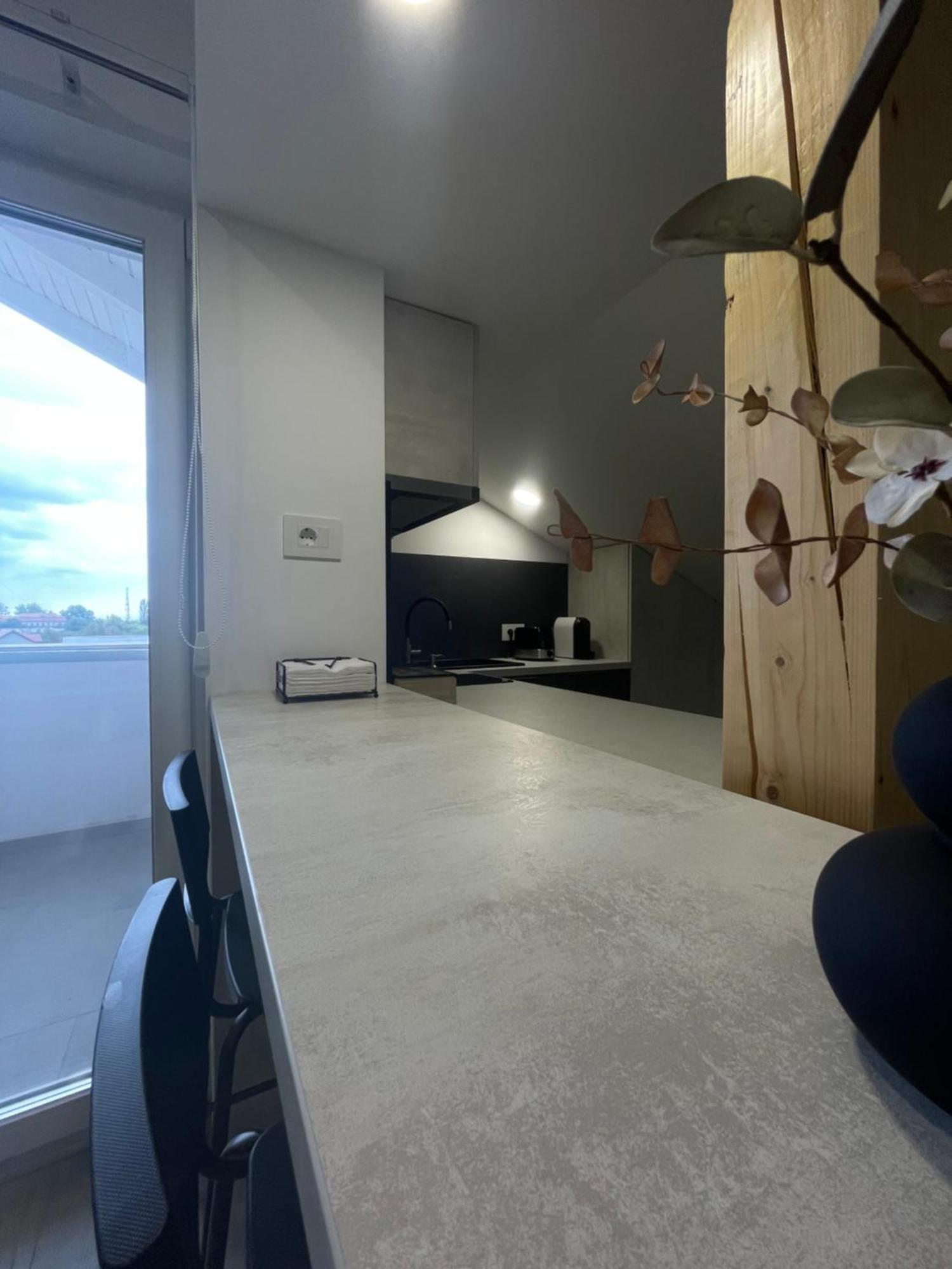 Comfort & Luxury Apartaments Pnmresidence Тимишоара Екстериор снимка
